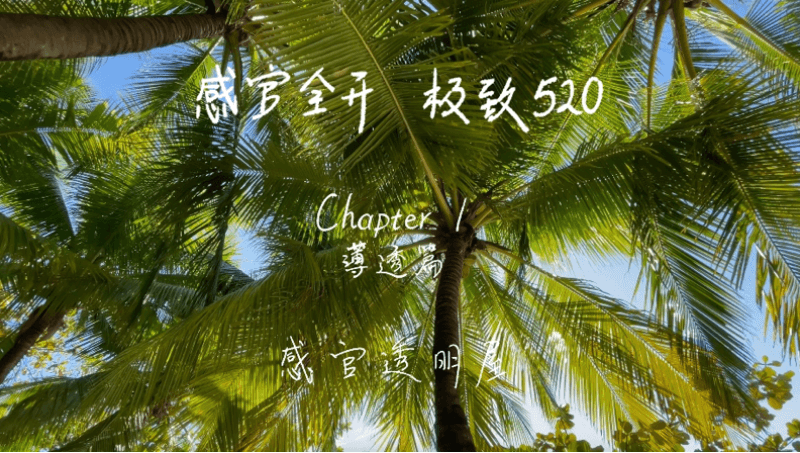 感官全开,极致520 感官全开,极致520